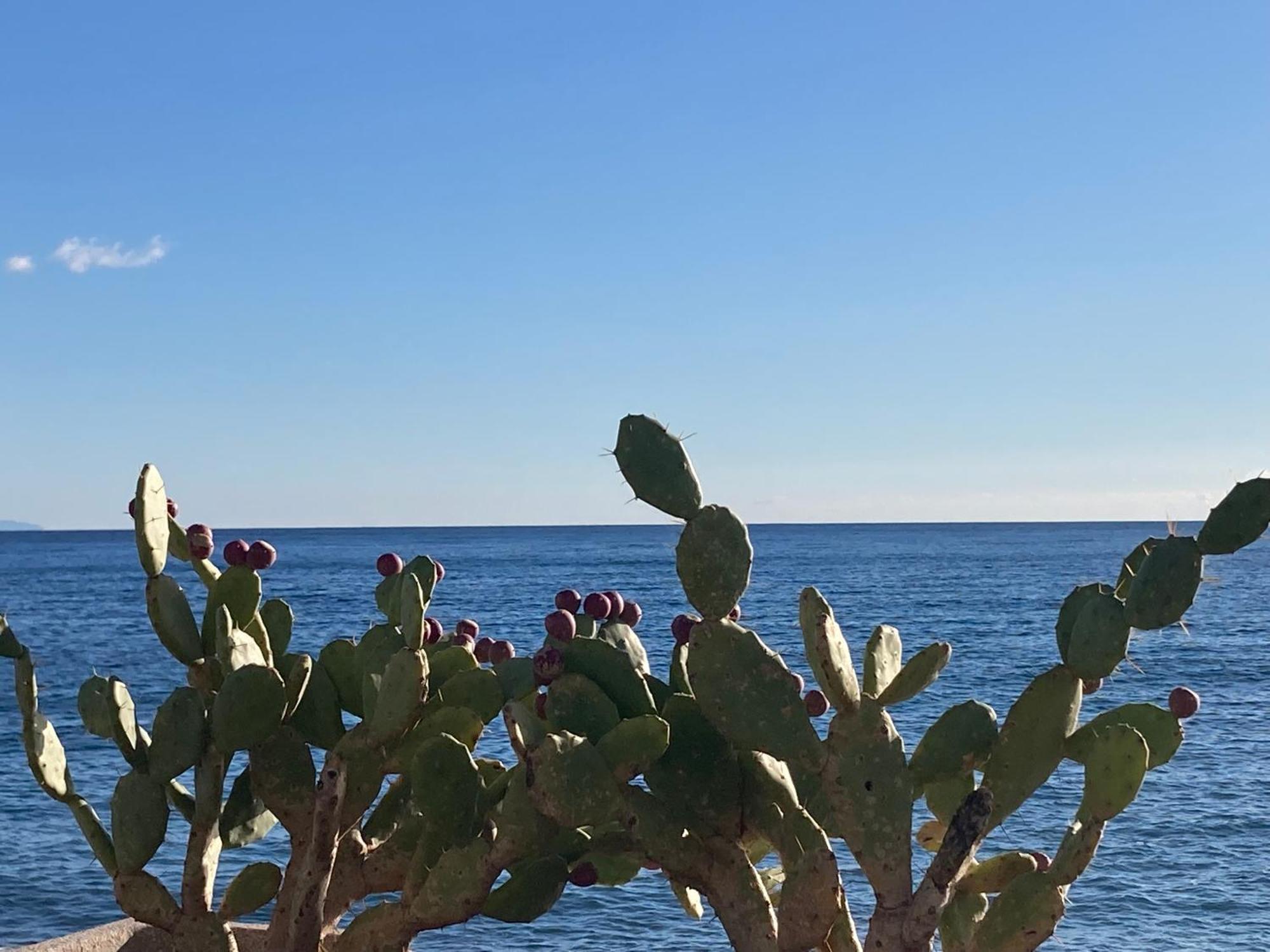 Taliari Taormina Apartment Dış mekan fotoğraf